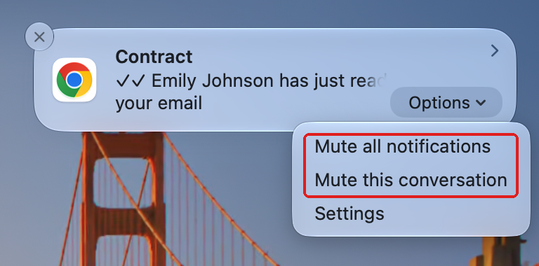 Desktop notification Options menu: Mute all notifications, Mute this conversation
