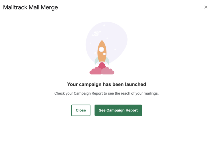 Your campaign has been launched screen by Mailsuite